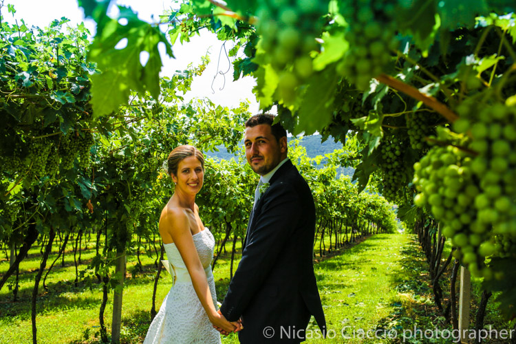 sposi tra le vigne verona